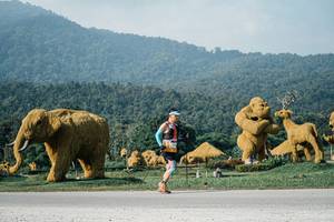 BIB: 
                            <button type="button" onclick="openModal(25872150)" class="btn btn-primary btn-sm float-right btn-popup" data-toggle="modal" data-target=".modal-high-quality">
                        <i class="fas fa-shopping-cart"></i> Add to Cart
                    </button>
                                            <button type="button" onclick="isThisMe(25872150, true)" class="btn btn-success btn-sm float-right btn-popup btn-isme hidden" data-toggle="tooltip" data-placement="bottom" title="นี่คือรูปของคุณใช่ไหม คลิกที่นี่เพื่อเอาเข้าอัลบั้ม">
                        <i class="fas fa-plus"></i> Add to album
                    </button>
                    <button type="button" onclick="isThisMe(25872150, false)" class="btn btn-warning btn-sm float-right btn-popup btn-isnotme hidden">
                        <i class="fas fa-ban"></i> Remove from album
                    </button>