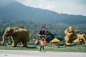 BIB: 
                            <button type="button" onclick="openModal(25926198)" class="btn btn-primary btn-sm float-right btn-popup" data-toggle="modal" data-target=".modal-high-quality">
                        <i class="fas fa-shopping-cart"></i> Add to Cart
                    </button>
                                            <button type="button" onclick="isThisMe(25926198, true)" class="btn btn-success btn-sm float-right btn-popup btn-isme hidden" data-toggle="tooltip" data-placement="bottom" title="นี่คือรูปของคุณใช่ไหม คลิกที่นี่เพื่อเอาเข้าอัลบั้ม">
                        <i class="fas fa-plus"></i> Add to album
                    </button>
                    <button type="button" onclick="isThisMe(25926198, false)" class="btn btn-warning btn-sm float-right btn-popup btn-isnotme hidden">
                        <i class="fas fa-ban"></i> Remove from album
                    </button>