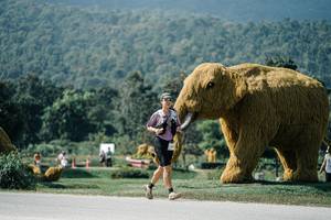 BIB: 
                            <button type="button" onclick="openModal(25923221)" class="btn btn-primary btn-sm float-right btn-popup" data-toggle="modal" data-target=".modal-high-quality">
                        <i class="fas fa-shopping-cart"></i> Add to Cart
                    </button>
                                            <button type="button" onclick="isThisMe(25923221, true)" class="btn btn-success btn-sm float-right btn-popup btn-isme hidden" data-toggle="tooltip" data-placement="bottom" title="นี่คือรูปของคุณใช่ไหม คลิกที่นี่เพื่อเอาเข้าอัลบั้ม">
                        <i class="fas fa-plus"></i> Add to album
                    </button>
                    <button type="button" onclick="isThisMe(25923221, false)" class="btn btn-warning btn-sm float-right btn-popup btn-isnotme hidden">
                        <i class="fas fa-ban"></i> Remove from album
                    </button>