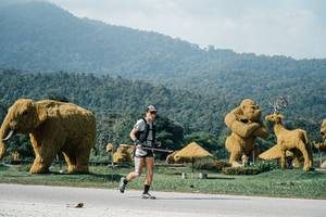 BIB: 
                            <button type="button" onclick="openModal(25896840)" class="btn btn-primary btn-sm float-right btn-popup" data-toggle="modal" data-target=".modal-high-quality">
                        <i class="fas fa-shopping-cart"></i> Add to Cart
                    </button>
                                            <button type="button" onclick="isThisMe(25896840, true)" class="btn btn-success btn-sm float-right btn-popup btn-isme hidden" data-toggle="tooltip" data-placement="bottom" title="นี่คือรูปของคุณใช่ไหม คลิกที่นี่เพื่อเอาเข้าอัลบั้ม">
                        <i class="fas fa-plus"></i> Add to album
                    </button>
                    <button type="button" onclick="isThisMe(25896840, false)" class="btn btn-warning btn-sm float-right btn-popup btn-isnotme hidden">
                        <i class="fas fa-ban"></i> Remove from album
                    </button>