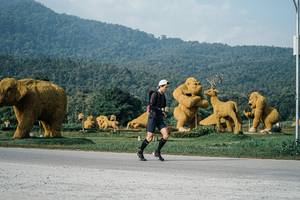 BIB: 
                            <button type="button" onclick="openModal(25870473)" class="btn btn-primary btn-sm float-right btn-popup" data-toggle="modal" data-target=".modal-high-quality">
                        <i class="fas fa-shopping-cart"></i> Add to Cart
                    </button>
                                            <button type="button" onclick="isThisMe(25870473, true)" class="btn btn-success btn-sm float-right btn-popup btn-isme hidden" data-toggle="tooltip" data-placement="bottom" title="นี่คือรูปของคุณใช่ไหม คลิกที่นี่เพื่อเอาเข้าอัลบั้ม">
                        <i class="fas fa-plus"></i> Add to album
                    </button>
                    <button type="button" onclick="isThisMe(25870473, false)" class="btn btn-warning btn-sm float-right btn-popup btn-isnotme hidden">
                        <i class="fas fa-ban"></i> Remove from album
                    </button>