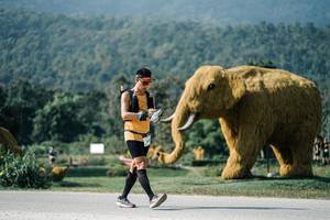 BIB: 
                            <button type="button" onclick="openModal(25895413)" class="btn btn-primary btn-sm float-right btn-popup" data-toggle="modal" data-target=".modal-high-quality">
                        <i class="fas fa-shopping-cart"></i> Add to Cart
                    </button>
                                            <button type="button" onclick="isThisMe(25895413, true)" class="btn btn-success btn-sm float-right btn-popup btn-isme hidden" data-toggle="tooltip" data-placement="bottom" title="นี่คือรูปของคุณใช่ไหม คลิกที่นี่เพื่อเอาเข้าอัลบั้ม">
                        <i class="fas fa-plus"></i> Add to album
                    </button>
                    <button type="button" onclick="isThisMe(25895413, false)" class="btn btn-warning btn-sm float-right btn-popup btn-isnotme hidden">
                        <i class="fas fa-ban"></i> Remove from album
                    </button>