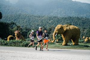 BIB: 
                            <button type="button" onclick="openModal(25885504)" class="btn btn-primary btn-sm float-right btn-popup" data-toggle="modal" data-target=".modal-high-quality">
                        <i class="fas fa-shopping-cart"></i> Add to Cart
                    </button>
                                            <button type="button" onclick="isThisMe(25885504, true)" class="btn btn-success btn-sm float-right btn-popup btn-isme hidden" data-toggle="tooltip" data-placement="bottom" title="นี่คือรูปของคุณใช่ไหม คลิกที่นี่เพื่อเอาเข้าอัลบั้ม">
                        <i class="fas fa-plus"></i> Add to album
                    </button>
                    <button type="button" onclick="isThisMe(25885504, false)" class="btn btn-warning btn-sm float-right btn-popup btn-isnotme hidden">
                        <i class="fas fa-ban"></i> Remove from album
                    </button>