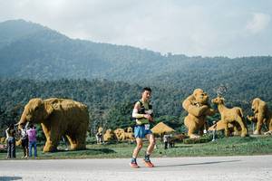 BIB: 
                            <button type="button" onclick="openModal(25881504)" class="btn btn-primary btn-sm float-right btn-popup" data-toggle="modal" data-target=".modal-high-quality">
                        <i class="fas fa-shopping-cart"></i> Add to Cart
                    </button>
                                            <button type="button" onclick="isThisMe(25881504, true)" class="btn btn-success btn-sm float-right btn-popup btn-isme hidden" data-toggle="tooltip" data-placement="bottom" title="นี่คือรูปของคุณใช่ไหม คลิกที่นี่เพื่อเอาเข้าอัลบั้ม">
                        <i class="fas fa-plus"></i> Add to album
                    </button>
                    <button type="button" onclick="isThisMe(25881504, false)" class="btn btn-warning btn-sm float-right btn-popup btn-isnotme hidden">
                        <i class="fas fa-ban"></i> Remove from album
                    </button>