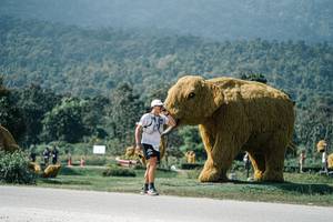 BIB: 
                            <button type="button" onclick="openModal(25928866)" class="btn btn-primary btn-sm float-right btn-popup" data-toggle="modal" data-target=".modal-high-quality">
                        <i class="fas fa-shopping-cart"></i> Add to Cart
                    </button>
                                            <button type="button" onclick="isThisMe(25928866, true)" class="btn btn-success btn-sm float-right btn-popup btn-isme hidden" data-toggle="tooltip" data-placement="bottom" title="นี่คือรูปของคุณใช่ไหม คลิกที่นี่เพื่อเอาเข้าอัลบั้ม">
                        <i class="fas fa-plus"></i> Add to album
                    </button>
                    <button type="button" onclick="isThisMe(25928866, false)" class="btn btn-warning btn-sm float-right btn-popup btn-isnotme hidden">
                        <i class="fas fa-ban"></i> Remove from album
                    </button>