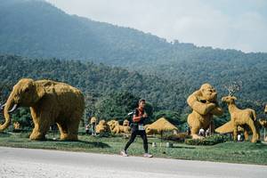 BIB: 
                            <button type="button" onclick="openModal(25887597)" class="btn btn-primary btn-sm float-right btn-popup" data-toggle="modal" data-target=".modal-high-quality">
                        <i class="fas fa-shopping-cart"></i> Add to Cart
                    </button>
                                            <button type="button" onclick="isThisMe(25887597, true)" class="btn btn-success btn-sm float-right btn-popup btn-isme hidden" data-toggle="tooltip" data-placement="bottom" title="นี่คือรูปของคุณใช่ไหม คลิกที่นี่เพื่อเอาเข้าอัลบั้ม">
                        <i class="fas fa-plus"></i> Add to album
                    </button>
                    <button type="button" onclick="isThisMe(25887597, false)" class="btn btn-warning btn-sm float-right btn-popup btn-isnotme hidden">
                        <i class="fas fa-ban"></i> Remove from album
                    </button>