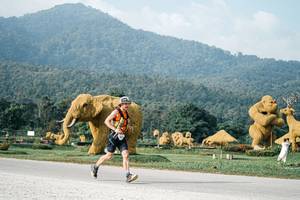 BIB: 
                            <button type="button" onclick="openModal(25870347)" class="btn btn-primary btn-sm float-right btn-popup" data-toggle="modal" data-target=".modal-high-quality">
                        <i class="fas fa-shopping-cart"></i> Add to Cart
                    </button>
                                            <button type="button" onclick="isThisMe(25870347, true)" class="btn btn-success btn-sm float-right btn-popup btn-isme hidden" data-toggle="tooltip" data-placement="bottom" title="นี่คือรูปของคุณใช่ไหม คลิกที่นี่เพื่อเอาเข้าอัลบั้ม">
                        <i class="fas fa-plus"></i> Add to album
                    </button>
                    <button type="button" onclick="isThisMe(25870347, false)" class="btn btn-warning btn-sm float-right btn-popup btn-isnotme hidden">
                        <i class="fas fa-ban"></i> Remove from album
                    </button>