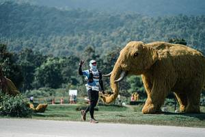 BIB: 
                            <button type="button" onclick="openModal(25944641)" class="btn btn-primary btn-sm float-right btn-popup" data-toggle="modal" data-target=".modal-high-quality">
                        <i class="fas fa-shopping-cart"></i> Add to Cart
                    </button>
                                            <button type="button" onclick="isThisMe(25944641, true)" class="btn btn-success btn-sm float-right btn-popup btn-isme hidden" data-toggle="tooltip" data-placement="bottom" title="นี่คือรูปของคุณใช่ไหม คลิกที่นี่เพื่อเอาเข้าอัลบั้ม">
                        <i class="fas fa-plus"></i> Add to album
                    </button>
                    <button type="button" onclick="isThisMe(25944641, false)" class="btn btn-warning btn-sm float-right btn-popup btn-isnotme hidden">
                        <i class="fas fa-ban"></i> Remove from album
                    </button>