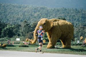 BIB: 
                            <button type="button" onclick="openModal(25921486)" class="btn btn-primary btn-sm float-right btn-popup" data-toggle="modal" data-target=".modal-high-quality">
                        <i class="fas fa-shopping-cart"></i> Add to Cart
                    </button>
                                            <button type="button" onclick="isThisMe(25921486, true)" class="btn btn-success btn-sm float-right btn-popup btn-isme hidden" data-toggle="tooltip" data-placement="bottom" title="นี่คือรูปของคุณใช่ไหม คลิกที่นี่เพื่อเอาเข้าอัลบั้ม">
                        <i class="fas fa-plus"></i> Add to album
                    </button>
                    <button type="button" onclick="isThisMe(25921486, false)" class="btn btn-warning btn-sm float-right btn-popup btn-isnotme hidden">
                        <i class="fas fa-ban"></i> Remove from album
                    </button>