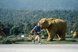 BIB: 
                            <button type="button" onclick="openModal(25886732)" class="btn btn-primary btn-sm float-right btn-popup" data-toggle="modal" data-target=".modal-high-quality">
                        <i class="fas fa-shopping-cart"></i> Add to Cart
                    </button>
                                            <button type="button" onclick="isThisMe(25886732, true)" class="btn btn-success btn-sm float-right btn-popup btn-isme hidden" data-toggle="tooltip" data-placement="bottom" title="นี่คือรูปของคุณใช่ไหม คลิกที่นี่เพื่อเอาเข้าอัลบั้ม">
                        <i class="fas fa-plus"></i> Add to album
                    </button>
                    <button type="button" onclick="isThisMe(25886732, false)" class="btn btn-warning btn-sm float-right btn-popup btn-isnotme hidden">
                        <i class="fas fa-ban"></i> Remove from album
                    </button>