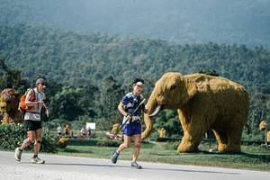 BIB: 
                            <button type="button" onclick="openModal(25896149)" class="btn btn-primary btn-sm float-right btn-popup" data-toggle="modal" data-target=".modal-high-quality">
                        <i class="fas fa-shopping-cart"></i> Add to Cart
                    </button>
                                            <button type="button" onclick="isThisMe(25896149, true)" class="btn btn-success btn-sm float-right btn-popup btn-isme hidden" data-toggle="tooltip" data-placement="bottom" title="นี่คือรูปของคุณใช่ไหม คลิกที่นี่เพื่อเอาเข้าอัลบั้ม">
                        <i class="fas fa-plus"></i> Add to album
                    </button>
                    <button type="button" onclick="isThisMe(25896149, false)" class="btn btn-warning btn-sm float-right btn-popup btn-isnotme hidden">
                        <i class="fas fa-ban"></i> Remove from album
                    </button>