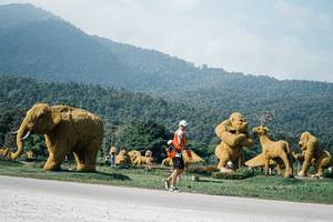 BIB: 
                            <button type="button" onclick="openModal(25887717)" class="btn btn-primary btn-sm float-right btn-popup" data-toggle="modal" data-target=".modal-high-quality">
                        <i class="fas fa-shopping-cart"></i> Add to Cart
                    </button>
                                            <button type="button" onclick="isThisMe(25887717, true)" class="btn btn-success btn-sm float-right btn-popup btn-isme hidden" data-toggle="tooltip" data-placement="bottom" title="นี่คือรูปของคุณใช่ไหม คลิกที่นี่เพื่อเอาเข้าอัลบั้ม">
                        <i class="fas fa-plus"></i> Add to album
                    </button>
                    <button type="button" onclick="isThisMe(25887717, false)" class="btn btn-warning btn-sm float-right btn-popup btn-isnotme hidden">
                        <i class="fas fa-ban"></i> Remove from album
                    </button>