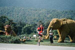 BIB: 
                            <button type="button" onclick="openModal(25924219)" class="btn btn-primary btn-sm float-right btn-popup" data-toggle="modal" data-target=".modal-high-quality">
                        <i class="fas fa-shopping-cart"></i> Add to Cart
                    </button>
                                            <button type="button" onclick="isThisMe(25924219, true)" class="btn btn-success btn-sm float-right btn-popup btn-isme hidden" data-toggle="tooltip" data-placement="bottom" title="นี่คือรูปของคุณใช่ไหม คลิกที่นี่เพื่อเอาเข้าอัลบั้ม">
                        <i class="fas fa-plus"></i> Add to album
                    </button>
                    <button type="button" onclick="isThisMe(25924219, false)" class="btn btn-warning btn-sm float-right btn-popup btn-isnotme hidden">
                        <i class="fas fa-ban"></i> Remove from album
                    </button>