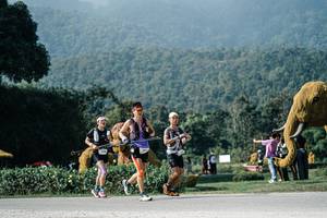 BIB: 
                            <button type="button" onclick="openModal(25882787)" class="btn btn-primary btn-sm float-right btn-popup" data-toggle="modal" data-target=".modal-high-quality">
                        <i class="fas fa-shopping-cart"></i> Add to Cart
                    </button>
                                            <button type="button" onclick="isThisMe(25882787, true)" class="btn btn-success btn-sm float-right btn-popup btn-isme hidden" data-toggle="tooltip" data-placement="bottom" title="นี่คือรูปของคุณใช่ไหม คลิกที่นี่เพื่อเอาเข้าอัลบั้ม">
                        <i class="fas fa-plus"></i> Add to album
                    </button>
                    <button type="button" onclick="isThisMe(25882787, false)" class="btn btn-warning btn-sm float-right btn-popup btn-isnotme hidden">
                        <i class="fas fa-ban"></i> Remove from album
                    </button>