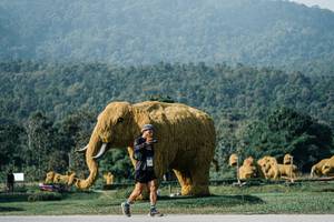 BIB: 
                            <button type="button" onclick="openModal(25872239)" class="btn btn-primary btn-sm float-right btn-popup" data-toggle="modal" data-target=".modal-high-quality">
                        <i class="fas fa-shopping-cart"></i> Add to Cart
                    </button>
                                            <button type="button" onclick="isThisMe(25872239, true)" class="btn btn-success btn-sm float-right btn-popup btn-isme hidden" data-toggle="tooltip" data-placement="bottom" title="นี่คือรูปของคุณใช่ไหม คลิกที่นี่เพื่อเอาเข้าอัลบั้ม">
                        <i class="fas fa-plus"></i> Add to album
                    </button>
                    <button type="button" onclick="isThisMe(25872239, false)" class="btn btn-warning btn-sm float-right btn-popup btn-isnotme hidden">
                        <i class="fas fa-ban"></i> Remove from album
                    </button>