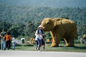 BIB: 
                            <button type="button" onclick="openModal(25917067)" class="btn btn-primary btn-sm float-right btn-popup" data-toggle="modal" data-target=".modal-high-quality">
                        <i class="fas fa-shopping-cart"></i> Add to Cart
                    </button>
                                            <button type="button" onclick="isThisMe(25917067, true)" class="btn btn-success btn-sm float-right btn-popup btn-isme hidden" data-toggle="tooltip" data-placement="bottom" title="นี่คือรูปของคุณใช่ไหม คลิกที่นี่เพื่อเอาเข้าอัลบั้ม">
                        <i class="fas fa-plus"></i> Add to album
                    </button>
                    <button type="button" onclick="isThisMe(25917067, false)" class="btn btn-warning btn-sm float-right btn-popup btn-isnotme hidden">
                        <i class="fas fa-ban"></i> Remove from album
                    </button>