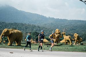 BIB: 
                            <button type="button" onclick="openModal(25901796)" class="btn btn-primary btn-sm float-right btn-popup" data-toggle="modal" data-target=".modal-high-quality">
                        <i class="fas fa-shopping-cart"></i> Add to Cart
                    </button>
                                            <button type="button" onclick="isThisMe(25901796, true)" class="btn btn-success btn-sm float-right btn-popup btn-isme hidden" data-toggle="tooltip" data-placement="bottom" title="นี่คือรูปของคุณใช่ไหม คลิกที่นี่เพื่อเอาเข้าอัลบั้ม">
                        <i class="fas fa-plus"></i> Add to album
                    </button>
                    <button type="button" onclick="isThisMe(25901796, false)" class="btn btn-warning btn-sm float-right btn-popup btn-isnotme hidden">
                        <i class="fas fa-ban"></i> Remove from album
                    </button>