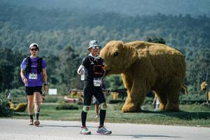 BIB: 
                            <button type="button" onclick="openModal(25957746)" class="btn btn-primary btn-sm float-right btn-popup" data-toggle="modal" data-target=".modal-high-quality">
                        <i class="fas fa-shopping-cart"></i> Add to Cart
                    </button>
                                            <button type="button" onclick="isThisMe(25957746, true)" class="btn btn-success btn-sm float-right btn-popup btn-isme hidden" data-toggle="tooltip" data-placement="bottom" title="นี่คือรูปของคุณใช่ไหม คลิกที่นี่เพื่อเอาเข้าอัลบั้ม">
                        <i class="fas fa-plus"></i> Add to album
                    </button>
                    <button type="button" onclick="isThisMe(25957746, false)" class="btn btn-warning btn-sm float-right btn-popup btn-isnotme hidden">
                        <i class="fas fa-ban"></i> Remove from album
                    </button>