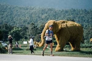 BIB: 
                            <button type="button" onclick="openModal(25919444)" class="btn btn-primary btn-sm float-right btn-popup" data-toggle="modal" data-target=".modal-high-quality">
                        <i class="fas fa-shopping-cart"></i> Add to Cart
                    </button>
                                            <button type="button" onclick="isThisMe(25919444, true)" class="btn btn-success btn-sm float-right btn-popup btn-isme hidden" data-toggle="tooltip" data-placement="bottom" title="นี่คือรูปของคุณใช่ไหม คลิกที่นี่เพื่อเอาเข้าอัลบั้ม">
                        <i class="fas fa-plus"></i> Add to album
                    </button>
                    <button type="button" onclick="isThisMe(25919444, false)" class="btn btn-warning btn-sm float-right btn-popup btn-isnotme hidden">
                        <i class="fas fa-ban"></i> Remove from album
                    </button>