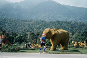 BIB: 
                            <button type="button" onclick="openModal(25877854)" class="btn btn-primary btn-sm float-right btn-popup" data-toggle="modal" data-target=".modal-high-quality">
                        <i class="fas fa-shopping-cart"></i> Add to Cart
                    </button>
                                            <button type="button" onclick="isThisMe(25877854, true)" class="btn btn-success btn-sm float-right btn-popup btn-isme hidden" data-toggle="tooltip" data-placement="bottom" title="นี่คือรูปของคุณใช่ไหม คลิกที่นี่เพื่อเอาเข้าอัลบั้ม">
                        <i class="fas fa-plus"></i> Add to album
                    </button>
                    <button type="button" onclick="isThisMe(25877854, false)" class="btn btn-warning btn-sm float-right btn-popup btn-isnotme hidden">
                        <i class="fas fa-ban"></i> Remove from album
                    </button>