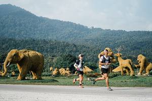 BIB: 
                            <button type="button" onclick="openModal(25870976)" class="btn btn-primary btn-sm float-right btn-popup" data-toggle="modal" data-target=".modal-high-quality">
                        <i class="fas fa-shopping-cart"></i> Add to Cart
                    </button>
                                            <button type="button" onclick="isThisMe(25870976, true)" class="btn btn-success btn-sm float-right btn-popup btn-isme hidden" data-toggle="tooltip" data-placement="bottom" title="นี่คือรูปของคุณใช่ไหม คลิกที่นี่เพื่อเอาเข้าอัลบั้ม">
                        <i class="fas fa-plus"></i> Add to album
                    </button>
                    <button type="button" onclick="isThisMe(25870976, false)" class="btn btn-warning btn-sm float-right btn-popup btn-isnotme hidden">
                        <i class="fas fa-ban"></i> Remove from album
                    </button>