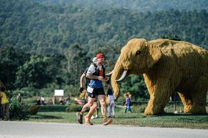 BIB: 
                            <button type="button" onclick="openModal(25873403)" class="btn btn-primary btn-sm float-right btn-popup" data-toggle="modal" data-target=".modal-high-quality">
                        <i class="fas fa-shopping-cart"></i> Add to Cart
                    </button>
                                            <button type="button" onclick="isThisMe(25873403, true)" class="btn btn-success btn-sm float-right btn-popup btn-isme hidden" data-toggle="tooltip" data-placement="bottom" title="นี่คือรูปของคุณใช่ไหม คลิกที่นี่เพื่อเอาเข้าอัลบั้ม">
                        <i class="fas fa-plus"></i> Add to album
                    </button>
                    <button type="button" onclick="isThisMe(25873403, false)" class="btn btn-warning btn-sm float-right btn-popup btn-isnotme hidden">
                        <i class="fas fa-ban"></i> Remove from album
                    </button>