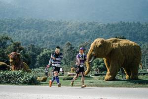 BIB: 
                            <button type="button" onclick="openModal(25965367)" class="btn btn-primary btn-sm float-right btn-popup" data-toggle="modal" data-target=".modal-high-quality">
                        <i class="fas fa-shopping-cart"></i> Add to Cart
                    </button>
                                            <button type="button" onclick="isThisMe(25965367, true)" class="btn btn-success btn-sm float-right btn-popup btn-isme hidden" data-toggle="tooltip" data-placement="bottom" title="นี่คือรูปของคุณใช่ไหม คลิกที่นี่เพื่อเอาเข้าอัลบั้ม">
                        <i class="fas fa-plus"></i> Add to album
                    </button>
                    <button type="button" onclick="isThisMe(25965367, false)" class="btn btn-warning btn-sm float-right btn-popup btn-isnotme hidden">
                        <i class="fas fa-ban"></i> Remove from album
                    </button>