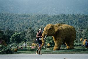 BIB: 
                            <button type="button" onclick="openModal(25892197)" class="btn btn-primary btn-sm float-right btn-popup" data-toggle="modal" data-target=".modal-high-quality">
                        <i class="fas fa-shopping-cart"></i> Add to Cart
                    </button>
                                            <button type="button" onclick="isThisMe(25892197, true)" class="btn btn-success btn-sm float-right btn-popup btn-isme hidden" data-toggle="tooltip" data-placement="bottom" title="นี่คือรูปของคุณใช่ไหม คลิกที่นี่เพื่อเอาเข้าอัลบั้ม">
                        <i class="fas fa-plus"></i> Add to album
                    </button>
                    <button type="button" onclick="isThisMe(25892197, false)" class="btn btn-warning btn-sm float-right btn-popup btn-isnotme hidden">
                        <i class="fas fa-ban"></i> Remove from album
                    </button>