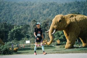 BIB: 
                            <button type="button" onclick="openModal(25900720)" class="btn btn-primary btn-sm float-right btn-popup" data-toggle="modal" data-target=".modal-high-quality">
                        <i class="fas fa-shopping-cart"></i> Add to Cart
                    </button>
                                            <button type="button" onclick="isThisMe(25900720, true)" class="btn btn-success btn-sm float-right btn-popup btn-isme hidden" data-toggle="tooltip" data-placement="bottom" title="นี่คือรูปของคุณใช่ไหม คลิกที่นี่เพื่อเอาเข้าอัลบั้ม">
                        <i class="fas fa-plus"></i> Add to album
                    </button>
                    <button type="button" onclick="isThisMe(25900720, false)" class="btn btn-warning btn-sm float-right btn-popup btn-isnotme hidden">
                        <i class="fas fa-ban"></i> Remove from album
                    </button>