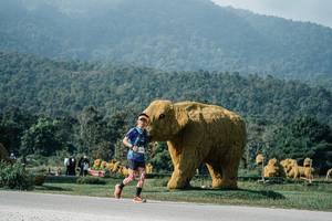 BIB: 
                            <button type="button" onclick="openModal(25877780)" class="btn btn-primary btn-sm float-right btn-popup" data-toggle="modal" data-target=".modal-high-quality">
                        <i class="fas fa-shopping-cart"></i> Add to Cart
                    </button>
                                            <button type="button" onclick="isThisMe(25877780, true)" class="btn btn-success btn-sm float-right btn-popup btn-isme hidden" data-toggle="tooltip" data-placement="bottom" title="นี่คือรูปของคุณใช่ไหม คลิกที่นี่เพื่อเอาเข้าอัลบั้ม">
                        <i class="fas fa-plus"></i> Add to album
                    </button>
                    <button type="button" onclick="isThisMe(25877780, false)" class="btn btn-warning btn-sm float-right btn-popup btn-isnotme hidden">
                        <i class="fas fa-ban"></i> Remove from album
                    </button>