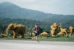 BIB: 
                            <button type="button" onclick="openModal(25872661)" class="btn btn-primary btn-sm float-right btn-popup" data-toggle="modal" data-target=".modal-high-quality">
                        <i class="fas fa-shopping-cart"></i> Add to Cart
                    </button>
                                            <button type="button" onclick="isThisMe(25872661, true)" class="btn btn-success btn-sm float-right btn-popup btn-isme hidden" data-toggle="tooltip" data-placement="bottom" title="นี่คือรูปของคุณใช่ไหม คลิกที่นี่เพื่อเอาเข้าอัลบั้ม">
                        <i class="fas fa-plus"></i> Add to album
                    </button>
                    <button type="button" onclick="isThisMe(25872661, false)" class="btn btn-warning btn-sm float-right btn-popup btn-isnotme hidden">
                        <i class="fas fa-ban"></i> Remove from album
                    </button>