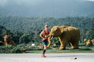 BIB: 
                            <button type="button" onclick="openModal(25897386)" class="btn btn-primary btn-sm float-right btn-popup" data-toggle="modal" data-target=".modal-high-quality">
                        <i class="fas fa-shopping-cart"></i> Add to Cart
                    </button>
                                            <button type="button" onclick="isThisMe(25897386, true)" class="btn btn-success btn-sm float-right btn-popup btn-isme hidden" data-toggle="tooltip" data-placement="bottom" title="นี่คือรูปของคุณใช่ไหม คลิกที่นี่เพื่อเอาเข้าอัลบั้ม">
                        <i class="fas fa-plus"></i> Add to album
                    </button>
                    <button type="button" onclick="isThisMe(25897386, false)" class="btn btn-warning btn-sm float-right btn-popup btn-isnotme hidden">
                        <i class="fas fa-ban"></i> Remove from album
                    </button>