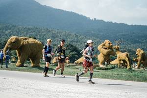 BIB: 
                            <button type="button" onclick="openModal(25936292)" class="btn btn-primary btn-sm float-right btn-popup" data-toggle="modal" data-target=".modal-high-quality">
                        <i class="fas fa-shopping-cart"></i> Add to Cart
                    </button>
                                            <button type="button" onclick="isThisMe(25936292, true)" class="btn btn-success btn-sm float-right btn-popup btn-isme hidden" data-toggle="tooltip" data-placement="bottom" title="นี่คือรูปของคุณใช่ไหม คลิกที่นี่เพื่อเอาเข้าอัลบั้ม">
                        <i class="fas fa-plus"></i> Add to album
                    </button>
                    <button type="button" onclick="isThisMe(25936292, false)" class="btn btn-warning btn-sm float-right btn-popup btn-isnotme hidden">
                        <i class="fas fa-ban"></i> Remove from album
                    </button>