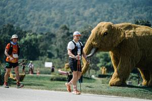 BIB: 
                            <button type="button" onclick="openModal(25958370)" class="btn btn-primary btn-sm float-right btn-popup" data-toggle="modal" data-target=".modal-high-quality">
                        <i class="fas fa-shopping-cart"></i> Add to Cart
                    </button>
                                            <button type="button" onclick="isThisMe(25958370, true)" class="btn btn-success btn-sm float-right btn-popup btn-isme hidden" data-toggle="tooltip" data-placement="bottom" title="นี่คือรูปของคุณใช่ไหม คลิกที่นี่เพื่อเอาเข้าอัลบั้ม">
                        <i class="fas fa-plus"></i> Add to album
                    </button>
                    <button type="button" onclick="isThisMe(25958370, false)" class="btn btn-warning btn-sm float-right btn-popup btn-isnotme hidden">
                        <i class="fas fa-ban"></i> Remove from album
                    </button>