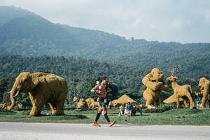 BIB: 
                            <button type="button" onclick="openModal(25878259)" class="btn btn-primary btn-sm float-right btn-popup" data-toggle="modal" data-target=".modal-high-quality">
                        <i class="fas fa-shopping-cart"></i> Add to Cart
                    </button>
                                            <button type="button" onclick="isThisMe(25878259, true)" class="btn btn-success btn-sm float-right btn-popup btn-isme hidden" data-toggle="tooltip" data-placement="bottom" title="นี่คือรูปของคุณใช่ไหม คลิกที่นี่เพื่อเอาเข้าอัลบั้ม">
                        <i class="fas fa-plus"></i> Add to album
                    </button>
                    <button type="button" onclick="isThisMe(25878259, false)" class="btn btn-warning btn-sm float-right btn-popup btn-isnotme hidden">
                        <i class="fas fa-ban"></i> Remove from album
                    </button>