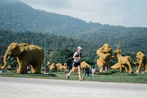 BIB: 
                            <button type="button" onclick="openModal(25874788)" class="btn btn-primary btn-sm float-right btn-popup" data-toggle="modal" data-target=".modal-high-quality">
                        <i class="fas fa-shopping-cart"></i> Add to Cart
                    </button>
                                            <button type="button" onclick="isThisMe(25874788, true)" class="btn btn-success btn-sm float-right btn-popup btn-isme hidden" data-toggle="tooltip" data-placement="bottom" title="นี่คือรูปของคุณใช่ไหม คลิกที่นี่เพื่อเอาเข้าอัลบั้ม">
                        <i class="fas fa-plus"></i> Add to album
                    </button>
                    <button type="button" onclick="isThisMe(25874788, false)" class="btn btn-warning btn-sm float-right btn-popup btn-isnotme hidden">
                        <i class="fas fa-ban"></i> Remove from album
                    </button>