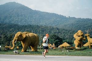 BIB: 
                            <button type="button" onclick="openModal(25870997)" class="btn btn-primary btn-sm float-right btn-popup" data-toggle="modal" data-target=".modal-high-quality">
                        <i class="fas fa-shopping-cart"></i> Add to Cart
                    </button>
                                            <button type="button" onclick="isThisMe(25870997, true)" class="btn btn-success btn-sm float-right btn-popup btn-isme hidden" data-toggle="tooltip" data-placement="bottom" title="นี่คือรูปของคุณใช่ไหม คลิกที่นี่เพื่อเอาเข้าอัลบั้ม">
                        <i class="fas fa-plus"></i> Add to album
                    </button>
                    <button type="button" onclick="isThisMe(25870997, false)" class="btn btn-warning btn-sm float-right btn-popup btn-isnotme hidden">
                        <i class="fas fa-ban"></i> Remove from album
                    </button>