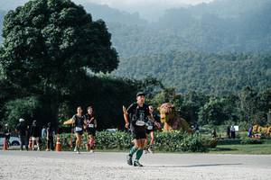 BIB: 
                            <button type="button" onclick="openModal(25876657)" class="btn btn-primary btn-sm float-right btn-popup" data-toggle="modal" data-target=".modal-high-quality">
                        <i class="fas fa-shopping-cart"></i> Add to Cart
                    </button>
                                            <button type="button" onclick="isThisMe(25876657, true)" class="btn btn-success btn-sm float-right btn-popup btn-isme hidden" data-toggle="tooltip" data-placement="bottom" title="นี่คือรูปของคุณใช่ไหม คลิกที่นี่เพื่อเอาเข้าอัลบั้ม">
                        <i class="fas fa-plus"></i> Add to album
                    </button>
                    <button type="button" onclick="isThisMe(25876657, false)" class="btn btn-warning btn-sm float-right btn-popup btn-isnotme hidden">
                        <i class="fas fa-ban"></i> Remove from album
                    </button>