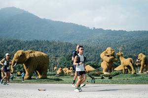 BIB: 
                            <button type="button" onclick="openModal(25890561)" class="btn btn-primary btn-sm float-right btn-popup" data-toggle="modal" data-target=".modal-high-quality">
                        <i class="fas fa-shopping-cart"></i> Add to Cart
                    </button>
                                            <button type="button" onclick="isThisMe(25890561, true)" class="btn btn-success btn-sm float-right btn-popup btn-isme hidden" data-toggle="tooltip" data-placement="bottom" title="นี่คือรูปของคุณใช่ไหม คลิกที่นี่เพื่อเอาเข้าอัลบั้ม">
                        <i class="fas fa-plus"></i> Add to album
                    </button>
                    <button type="button" onclick="isThisMe(25890561, false)" class="btn btn-warning btn-sm float-right btn-popup btn-isnotme hidden">
                        <i class="fas fa-ban"></i> Remove from album
                    </button>