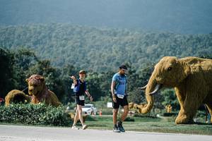 BIB: 
                            <button type="button" onclick="openModal(25931714)" class="btn btn-primary btn-sm float-right btn-popup" data-toggle="modal" data-target=".modal-high-quality">
                        <i class="fas fa-shopping-cart"></i> Add to Cart
                    </button>
                                            <button type="button" onclick="isThisMe(25931714, true)" class="btn btn-success btn-sm float-right btn-popup btn-isme hidden" data-toggle="tooltip" data-placement="bottom" title="นี่คือรูปของคุณใช่ไหม คลิกที่นี่เพื่อเอาเข้าอัลบั้ม">
                        <i class="fas fa-plus"></i> Add to album
                    </button>
                    <button type="button" onclick="isThisMe(25931714, false)" class="btn btn-warning btn-sm float-right btn-popup btn-isnotme hidden">
                        <i class="fas fa-ban"></i> Remove from album
                    </button>