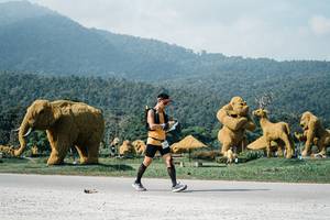 BIB: 
                            <button type="button" onclick="openModal(25895506)" class="btn btn-primary btn-sm float-right btn-popup" data-toggle="modal" data-target=".modal-high-quality">
                        <i class="fas fa-shopping-cart"></i> Add to Cart
                    </button>
                                            <button type="button" onclick="isThisMe(25895506, true)" class="btn btn-success btn-sm float-right btn-popup btn-isme hidden" data-toggle="tooltip" data-placement="bottom" title="นี่คือรูปของคุณใช่ไหม คลิกที่นี่เพื่อเอาเข้าอัลบั้ม">
                        <i class="fas fa-plus"></i> Add to album
                    </button>
                    <button type="button" onclick="isThisMe(25895506, false)" class="btn btn-warning btn-sm float-right btn-popup btn-isnotme hidden">
                        <i class="fas fa-ban"></i> Remove from album
                    </button>