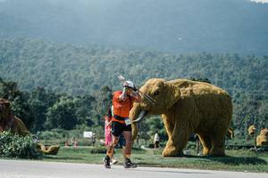 BIB: 
                            <button type="button" onclick="openModal(25955322)" class="btn btn-primary btn-sm float-right btn-popup" data-toggle="modal" data-target=".modal-high-quality">
                        <i class="fas fa-shopping-cart"></i> Add to Cart
                    </button>
                                            <button type="button" onclick="isThisMe(25955322, true)" class="btn btn-success btn-sm float-right btn-popup btn-isme hidden" data-toggle="tooltip" data-placement="bottom" title="นี่คือรูปของคุณใช่ไหม คลิกที่นี่เพื่อเอาเข้าอัลบั้ม">
                        <i class="fas fa-plus"></i> Add to album
                    </button>
                    <button type="button" onclick="isThisMe(25955322, false)" class="btn btn-warning btn-sm float-right btn-popup btn-isnotme hidden">
                        <i class="fas fa-ban"></i> Remove from album
                    </button>