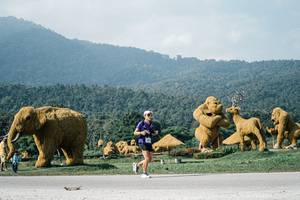 BIB: 
                            <button type="button" onclick="openModal(25889874)" class="btn btn-primary btn-sm float-right btn-popup" data-toggle="modal" data-target=".modal-high-quality">
                        <i class="fas fa-shopping-cart"></i> Add to Cart
                    </button>
                                            <button type="button" onclick="isThisMe(25889874, true)" class="btn btn-success btn-sm float-right btn-popup btn-isme hidden" data-toggle="tooltip" data-placement="bottom" title="นี่คือรูปของคุณใช่ไหม คลิกที่นี่เพื่อเอาเข้าอัลบั้ม">
                        <i class="fas fa-plus"></i> Add to album
                    </button>
                    <button type="button" onclick="isThisMe(25889874, false)" class="btn btn-warning btn-sm float-right btn-popup btn-isnotme hidden">
                        <i class="fas fa-ban"></i> Remove from album
                    </button>