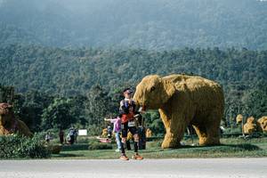 BIB: 
                            <button type="button" onclick="openModal(25882769)" class="btn btn-primary btn-sm float-right btn-popup" data-toggle="modal" data-target=".modal-high-quality">
                        <i class="fas fa-shopping-cart"></i> Add to Cart
                    </button>
                                            <button type="button" onclick="isThisMe(25882769, true)" class="btn btn-success btn-sm float-right btn-popup btn-isme hidden" data-toggle="tooltip" data-placement="bottom" title="นี่คือรูปของคุณใช่ไหม คลิกที่นี่เพื่อเอาเข้าอัลบั้ม">
                        <i class="fas fa-plus"></i> Add to album
                    </button>
                    <button type="button" onclick="isThisMe(25882769, false)" class="btn btn-warning btn-sm float-right btn-popup btn-isnotme hidden">
                        <i class="fas fa-ban"></i> Remove from album
                    </button>