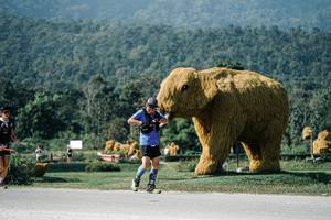 BIB: 
                            <button type="button" onclick="openModal(25885753)" class="btn btn-primary btn-sm float-right btn-popup" data-toggle="modal" data-target=".modal-high-quality">
                        <i class="fas fa-shopping-cart"></i> Add to Cart
                    </button>
                                            <button type="button" onclick="isThisMe(25885753, true)" class="btn btn-success btn-sm float-right btn-popup btn-isme hidden" data-toggle="tooltip" data-placement="bottom" title="นี่คือรูปของคุณใช่ไหม คลิกที่นี่เพื่อเอาเข้าอัลบั้ม">
                        <i class="fas fa-plus"></i> Add to album
                    </button>
                    <button type="button" onclick="isThisMe(25885753, false)" class="btn btn-warning btn-sm float-right btn-popup btn-isnotme hidden">
                        <i class="fas fa-ban"></i> Remove from album
                    </button>