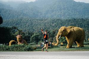 BIB: 
                            <button type="button" onclick="openModal(25871519)" class="btn btn-primary btn-sm float-right btn-popup" data-toggle="modal" data-target=".modal-high-quality">
                        <i class="fas fa-shopping-cart"></i> Add to Cart
                    </button>
                                            <button type="button" onclick="isThisMe(25871519, true)" class="btn btn-success btn-sm float-right btn-popup btn-isme hidden" data-toggle="tooltip" data-placement="bottom" title="นี่คือรูปของคุณใช่ไหม คลิกที่นี่เพื่อเอาเข้าอัลบั้ม">
                        <i class="fas fa-plus"></i> Add to album
                    </button>
                    <button type="button" onclick="isThisMe(25871519, false)" class="btn btn-warning btn-sm float-right btn-popup btn-isnotme hidden">
                        <i class="fas fa-ban"></i> Remove from album
                    </button>