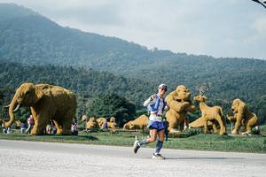 BIB: 
                            <button type="button" onclick="openModal(25874761)" class="btn btn-primary btn-sm float-right btn-popup" data-toggle="modal" data-target=".modal-high-quality">
                        <i class="fas fa-shopping-cart"></i> Add to Cart
                    </button>
                                            <button type="button" onclick="isThisMe(25874761, true)" class="btn btn-success btn-sm float-right btn-popup btn-isme hidden" data-toggle="tooltip" data-placement="bottom" title="นี่คือรูปของคุณใช่ไหม คลิกที่นี่เพื่อเอาเข้าอัลบั้ม">
                        <i class="fas fa-plus"></i> Add to album
                    </button>
                    <button type="button" onclick="isThisMe(25874761, false)" class="btn btn-warning btn-sm float-right btn-popup btn-isnotme hidden">
                        <i class="fas fa-ban"></i> Remove from album
                    </button>