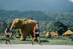 BIB: 
                            <button type="button" onclick="openModal(25945576)" class="btn btn-primary btn-sm float-right btn-popup" data-toggle="modal" data-target=".modal-high-quality">
                        <i class="fas fa-shopping-cart"></i> Add to Cart
                    </button>
                                            <button type="button" onclick="isThisMe(25945576, true)" class="btn btn-success btn-sm float-right btn-popup btn-isme hidden" data-toggle="tooltip" data-placement="bottom" title="นี่คือรูปของคุณใช่ไหม คลิกที่นี่เพื่อเอาเข้าอัลบั้ม">
                        <i class="fas fa-plus"></i> Add to album
                    </button>
                    <button type="button" onclick="isThisMe(25945576, false)" class="btn btn-warning btn-sm float-right btn-popup btn-isnotme hidden">
                        <i class="fas fa-ban"></i> Remove from album
                    </button>