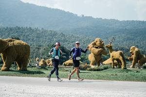 BIB: 
                            <button type="button" onclick="openModal(25968950)" class="btn btn-primary btn-sm float-right btn-popup" data-toggle="modal" data-target=".modal-high-quality">
                        <i class="fas fa-shopping-cart"></i> Add to Cart
                    </button>
                                            <button type="button" onclick="isThisMe(25968950, true)" class="btn btn-success btn-sm float-right btn-popup btn-isme hidden" data-toggle="tooltip" data-placement="bottom" title="นี่คือรูปของคุณใช่ไหม คลิกที่นี่เพื่อเอาเข้าอัลบั้ม">
                        <i class="fas fa-plus"></i> Add to album
                    </button>
                    <button type="button" onclick="isThisMe(25968950, false)" class="btn btn-warning btn-sm float-right btn-popup btn-isnotme hidden">
                        <i class="fas fa-ban"></i> Remove from album
                    </button>