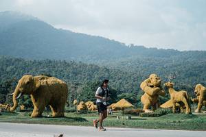 BIB: 
                            <button type="button" onclick="openModal(25898913)" class="btn btn-primary btn-sm float-right btn-popup" data-toggle="modal" data-target=".modal-high-quality">
                        <i class="fas fa-shopping-cart"></i> Add to Cart
                    </button>
                                            <button type="button" onclick="isThisMe(25898913, true)" class="btn btn-success btn-sm float-right btn-popup btn-isme hidden" data-toggle="tooltip" data-placement="bottom" title="นี่คือรูปของคุณใช่ไหม คลิกที่นี่เพื่อเอาเข้าอัลบั้ม">
                        <i class="fas fa-plus"></i> Add to album
                    </button>
                    <button type="button" onclick="isThisMe(25898913, false)" class="btn btn-warning btn-sm float-right btn-popup btn-isnotme hidden">
                        <i class="fas fa-ban"></i> Remove from album
                    </button>